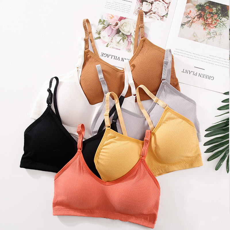 Summer Wire Free Bra Women Sea - đánh giá và giá T Shirt Bra Seamless