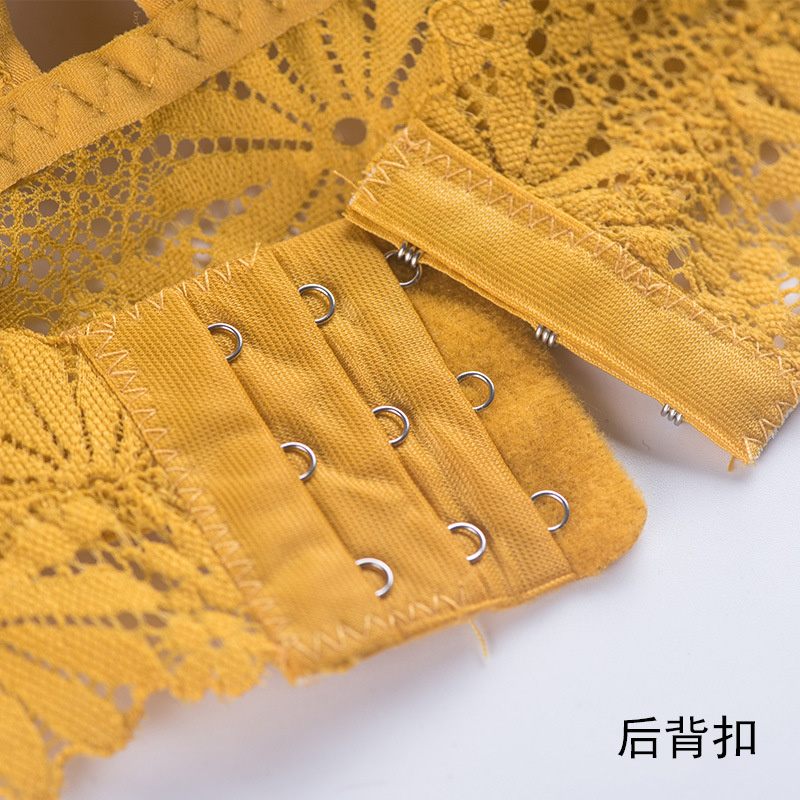 3D Gợi Cảm Ren Bé Gái Quần Lót - đánh giá và giá Sheer Bra Lace