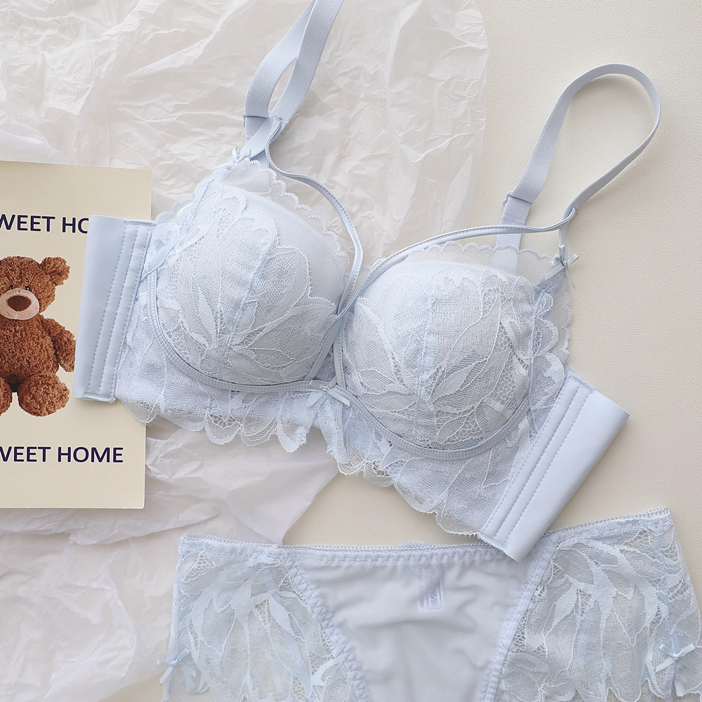 French Back Garden Lingerie Wo - đánh giá và giá Underwire Bra Padded